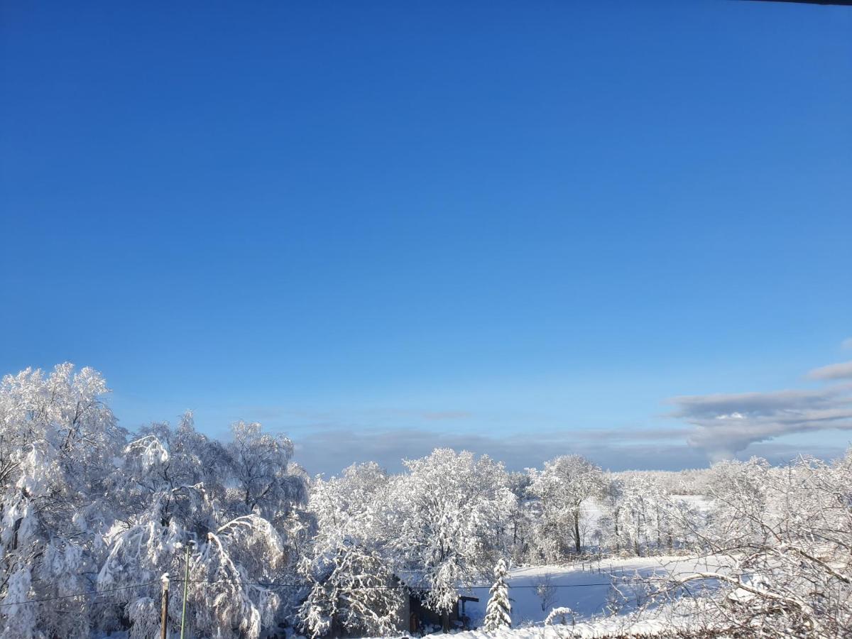 Ferienwohnung Energetischer Urlaub in der Eifel Germeter Exterior foto