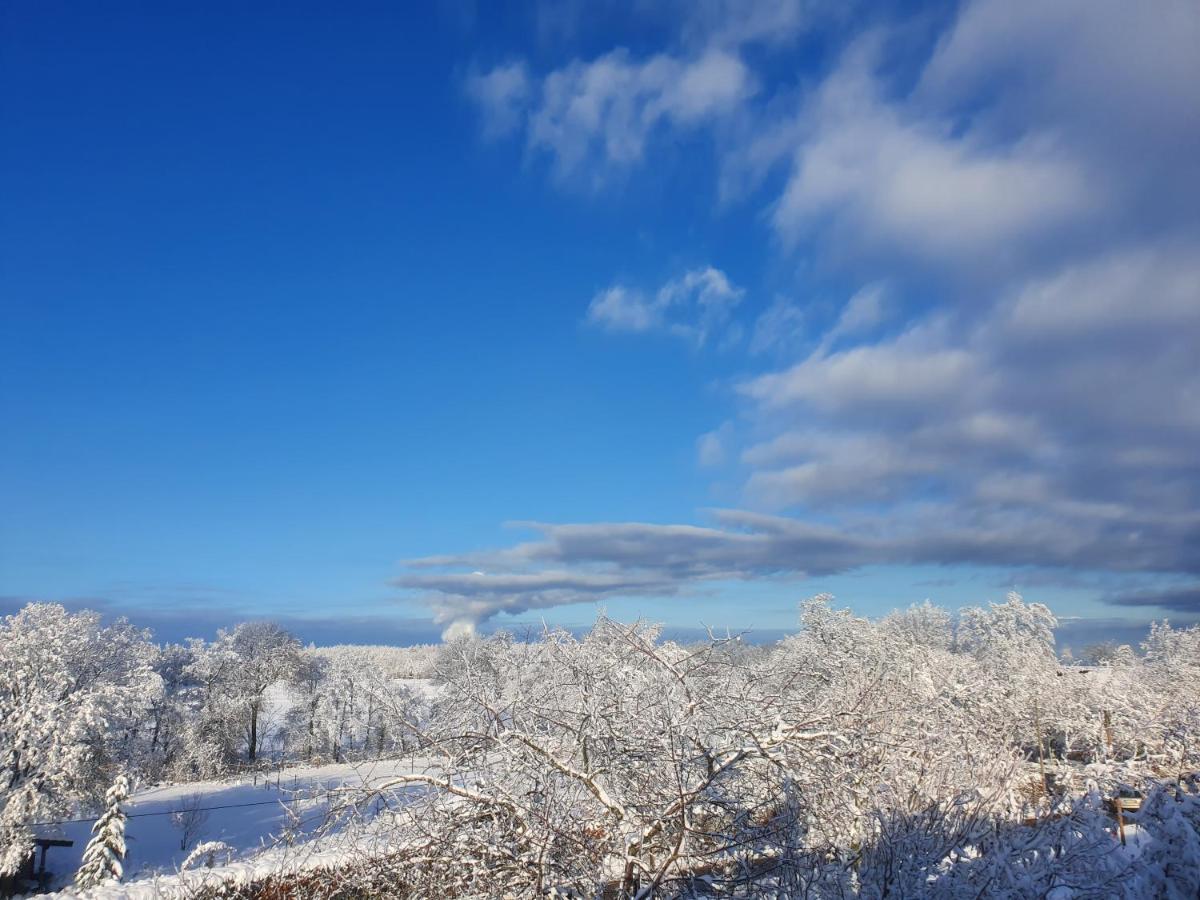 Ferienwohnung Energetischer Urlaub in der Eifel Germeter Exterior foto